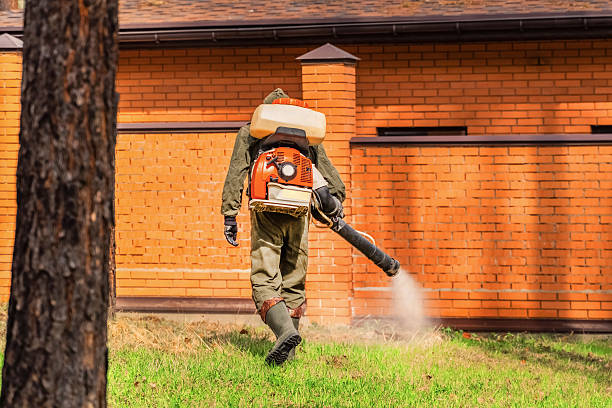 Top rated local Mosquito Control specialists in Watts Mills, SC